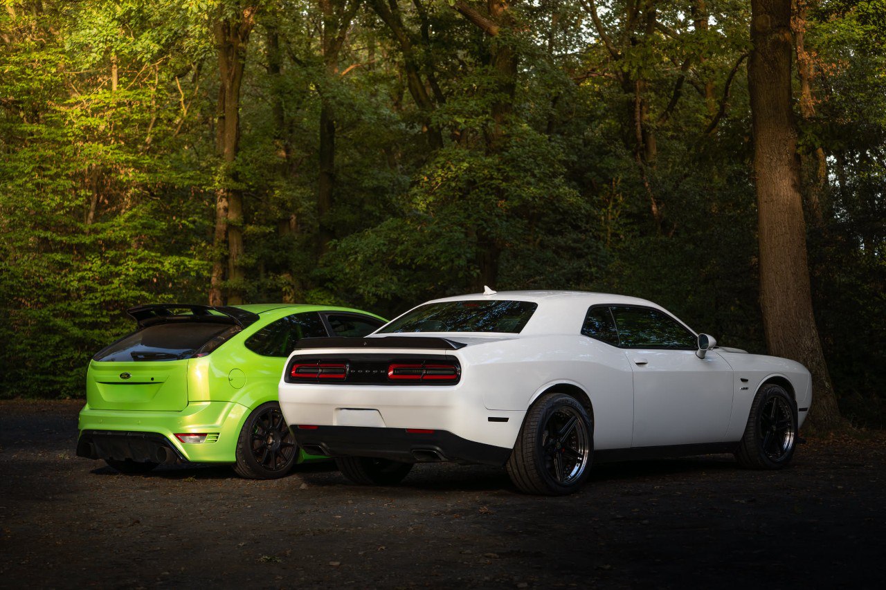 SHIFTED Community Highlight 5